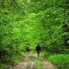 2_malwina_obarska_cykl zdjec_w lesie_walory przyrodnicze